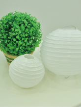 ������Ż ���� ����