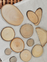 õ�� ���� ��Ʈ