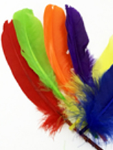 ������ ����